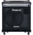 Roland D-Bass 115